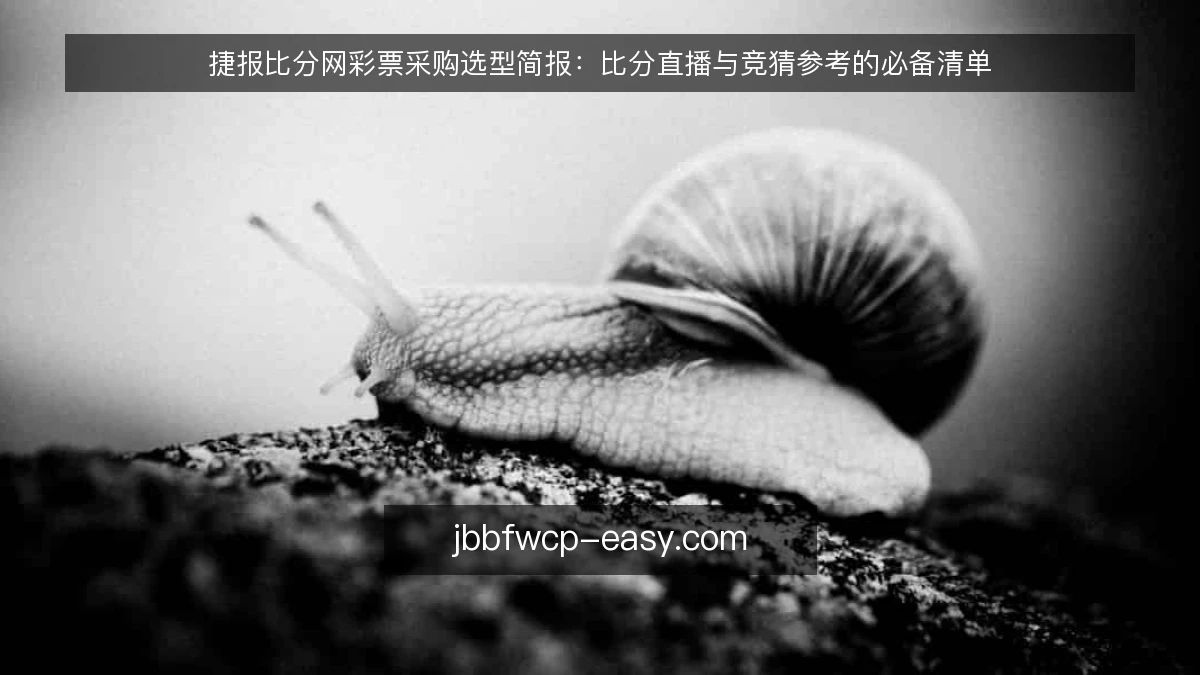 捷报比分网彩票采购选型简报：比分直播与竞猜参考的必备清单